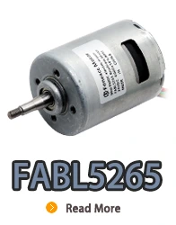FABL5265 bürstenloser Gleichstrom-Elektromotor mit Innenrotor und eingebautem Treiber
